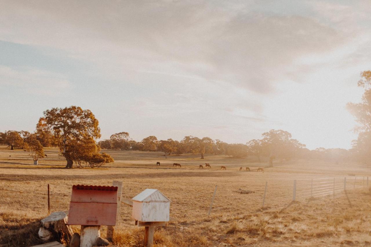Mount William Station Farm stay *